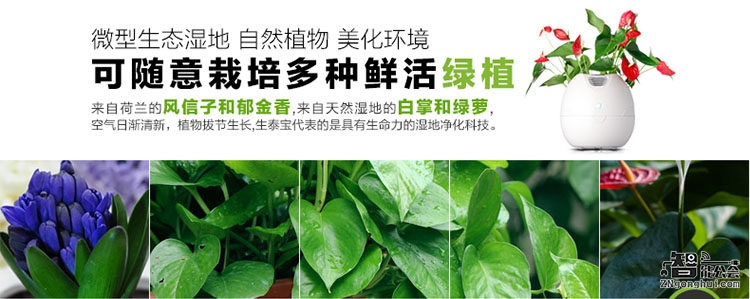 一款独属于你的桌面净化精灵！ 智能公会