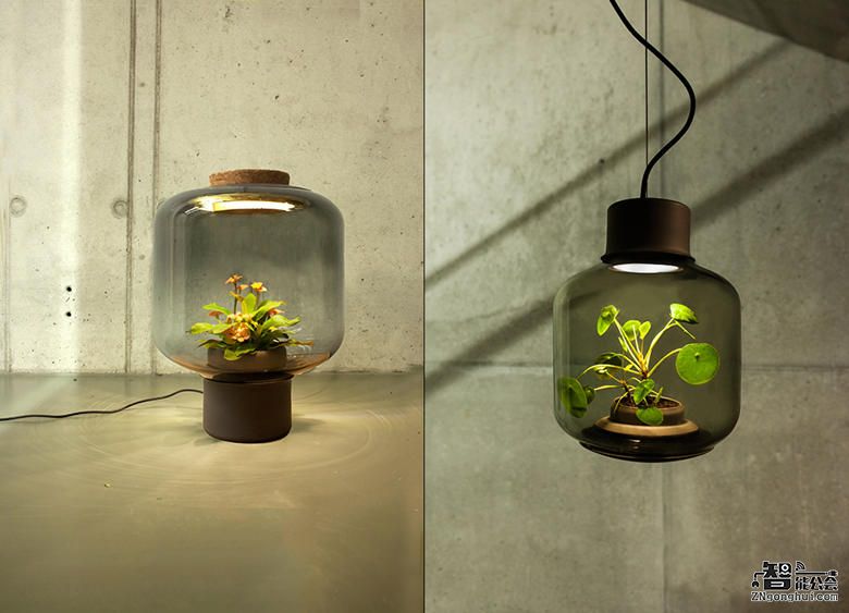 这哥们竟然给黑暗环境带来一抹绿和光 智能公会