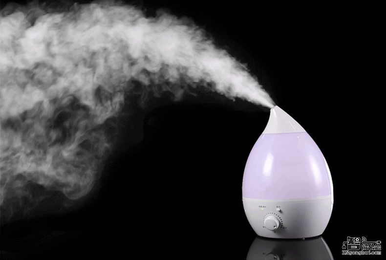 生活智一招：您的加湿器用对了吗？ 智能公会