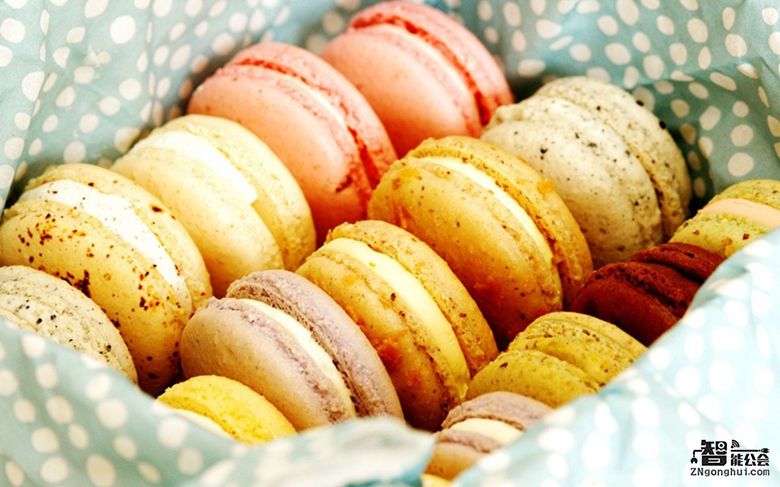 当我老了 你还会陪着我吗？ 智能公会