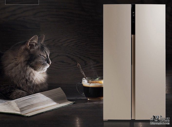 简约而不简单 对开门冰箱好看又实用 智能公会