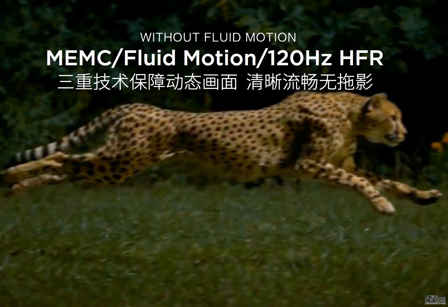 八大杀招告诉你！乐视uMax85为什么是电视画质之王 智能公会