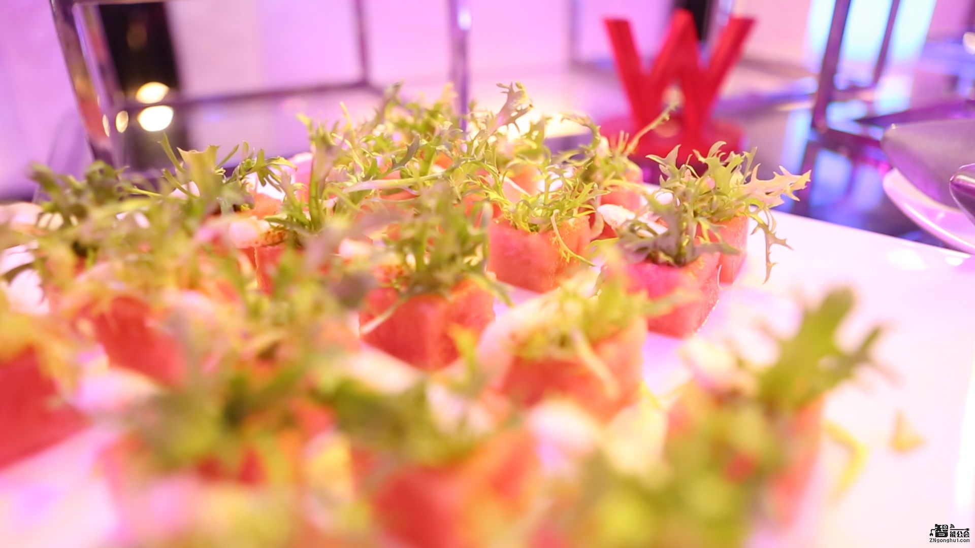 创艺生活不止所见 生态呼吸成高端消费新标准 智能公会