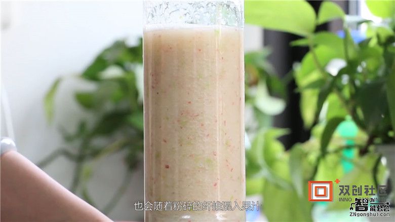 同样是DIY果汁，榨汁机和原汁机究竟有何不同？ 智能公会