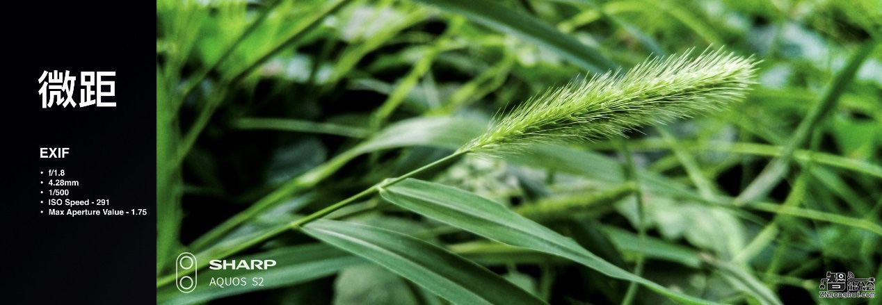 媲美单反！夏普美人尖AQUOS S2样张再曝光 智能公会