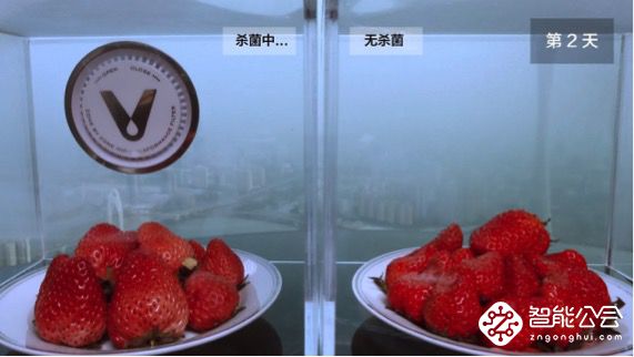 趣味实验：万万没想到草莓最终下场竟然会变这样 智能公会