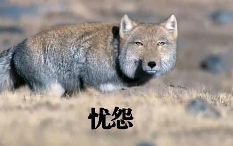 霸气的向世界说一声 第一批90后好着呢 智能公会