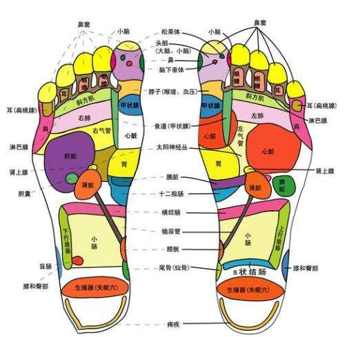 泡脚，你真的会吗？ 智能公会