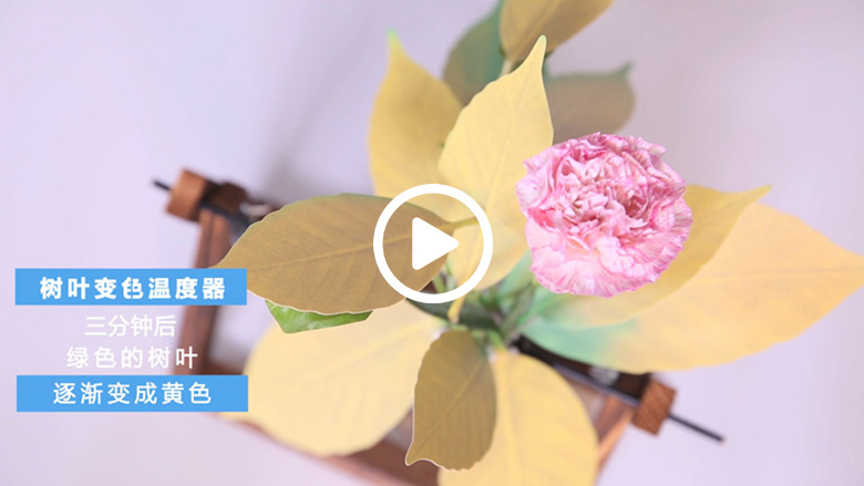 萝莉外表硬汉心 TCL i涟空调让您眼前的生活不再苟且 智能公会