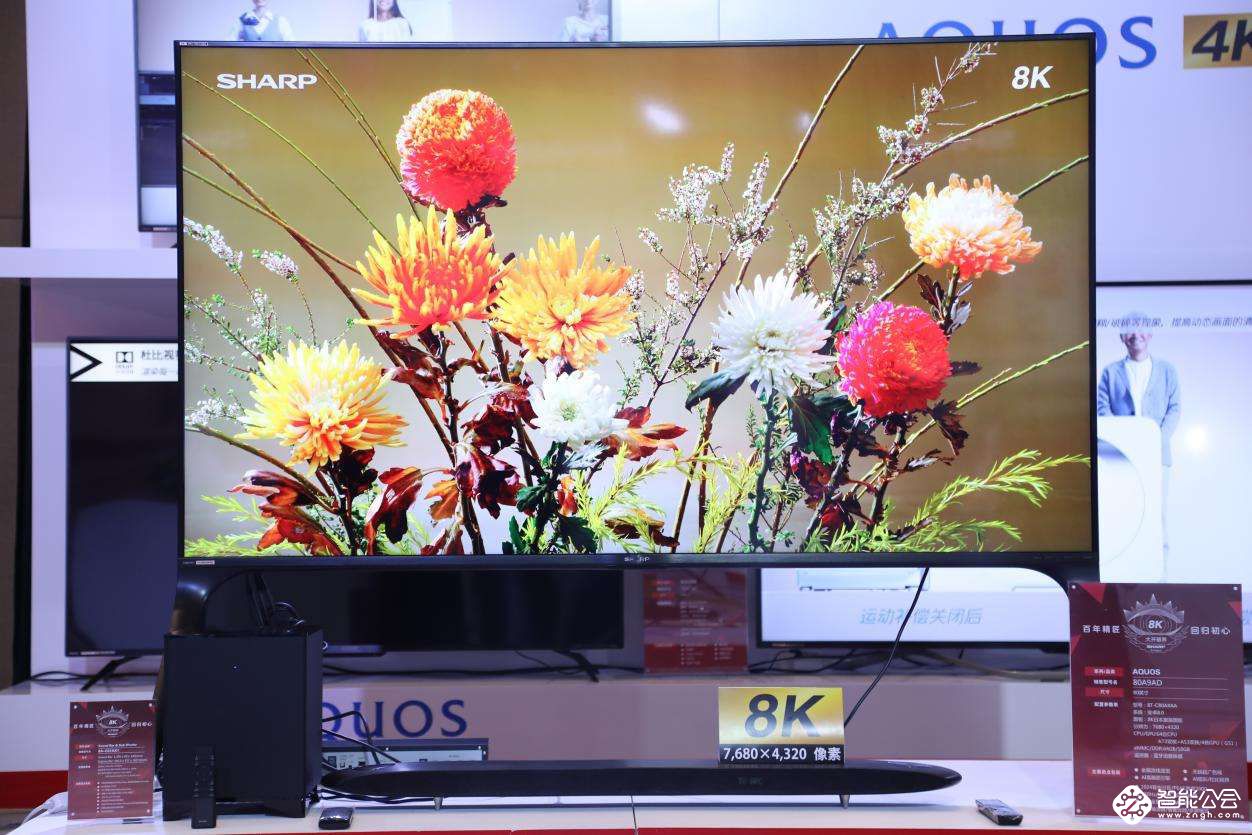 黑科技轰炸 电视@AWE2019之终极猜想 智能公会