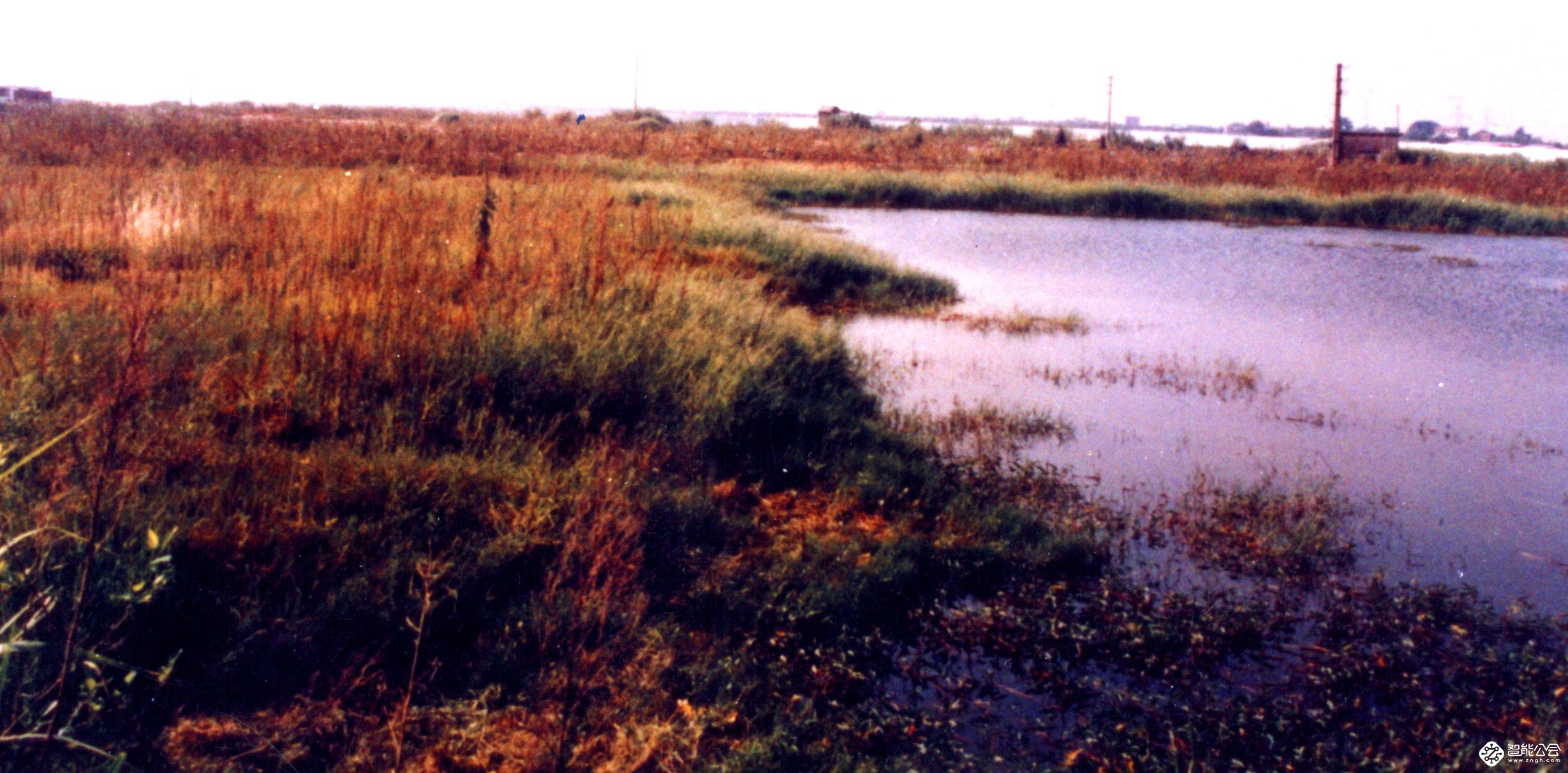 改革开放的见证者、参与者、受益者 格兰仕创业40年与伟大时代同行 智能公会