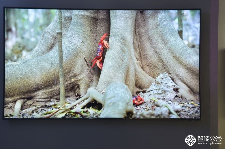 三星8K电视来临，浅谈5G与8K密不可分的关系 智能公会