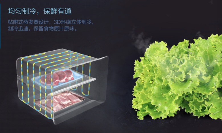 618大促马上来 该给自己配一个小冰箱了 智能公会