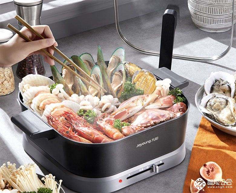 下雪时，用九阳HG60-G110吃火锅吧！ 智能公会