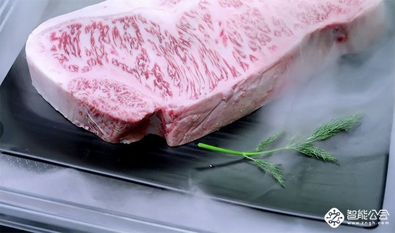 享健康生活，海尔“无风”科技破解冻肉30天不流血水的秘密 智能公会