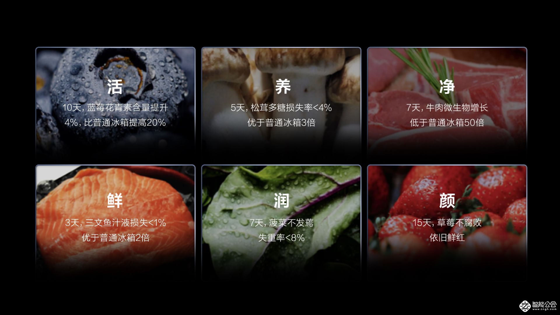 一台冰箱胜三台 TCL格物Q10到底有哪些功能亮点？ 智能公会