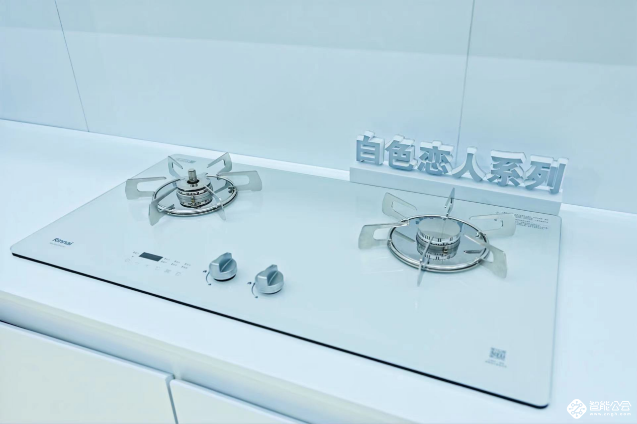 由“燃”而生 “厨”手不凡  林内亮相2023AWE加速厨电赛道布局 智能公会