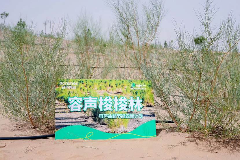 容声冰箱“节能森林计划”再行动，携手SEE基金会共筑阿拉善绿色屏障 智能公会