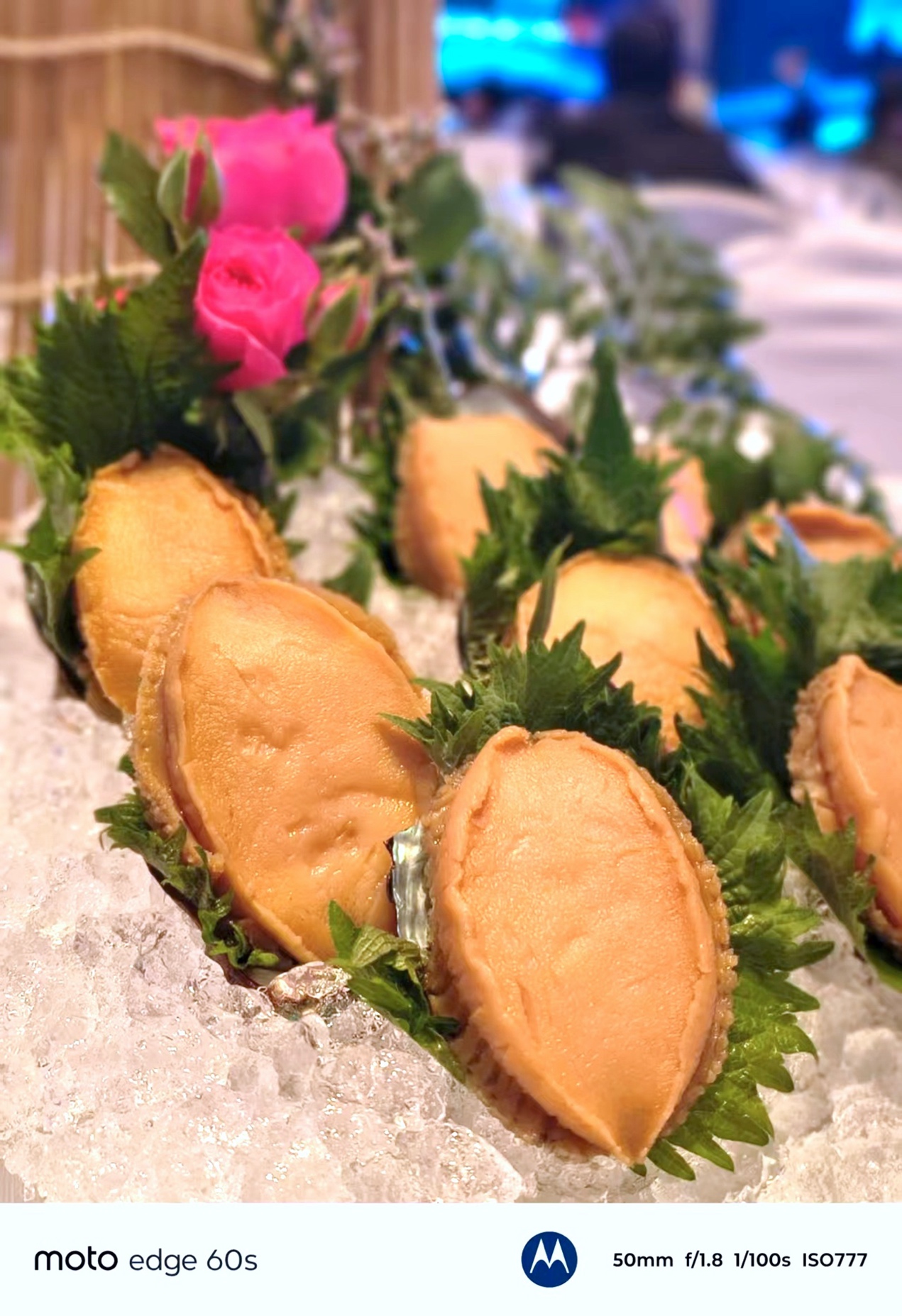 军工防护+Pantone美学=实用主义最优解？15天真实体验 智能公会