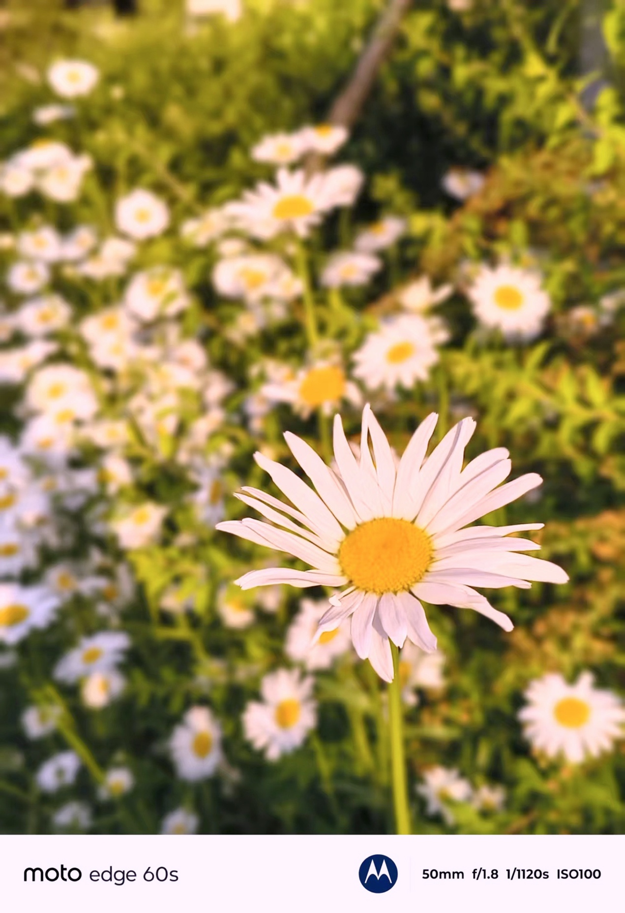 军工防护+Pantone美学=实用主义最优解？15天真实体验 智能公会